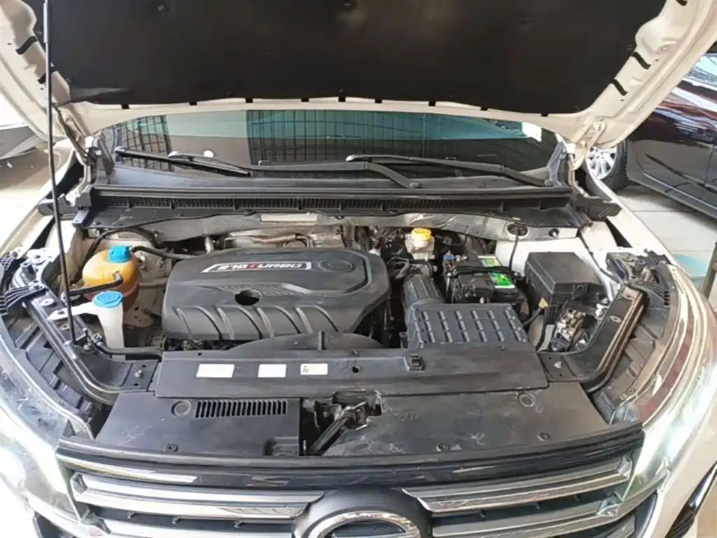 GAC Trumpchi Trumpchi GS4 2020 270T Automatic Smart Connect Tech Version фото 20