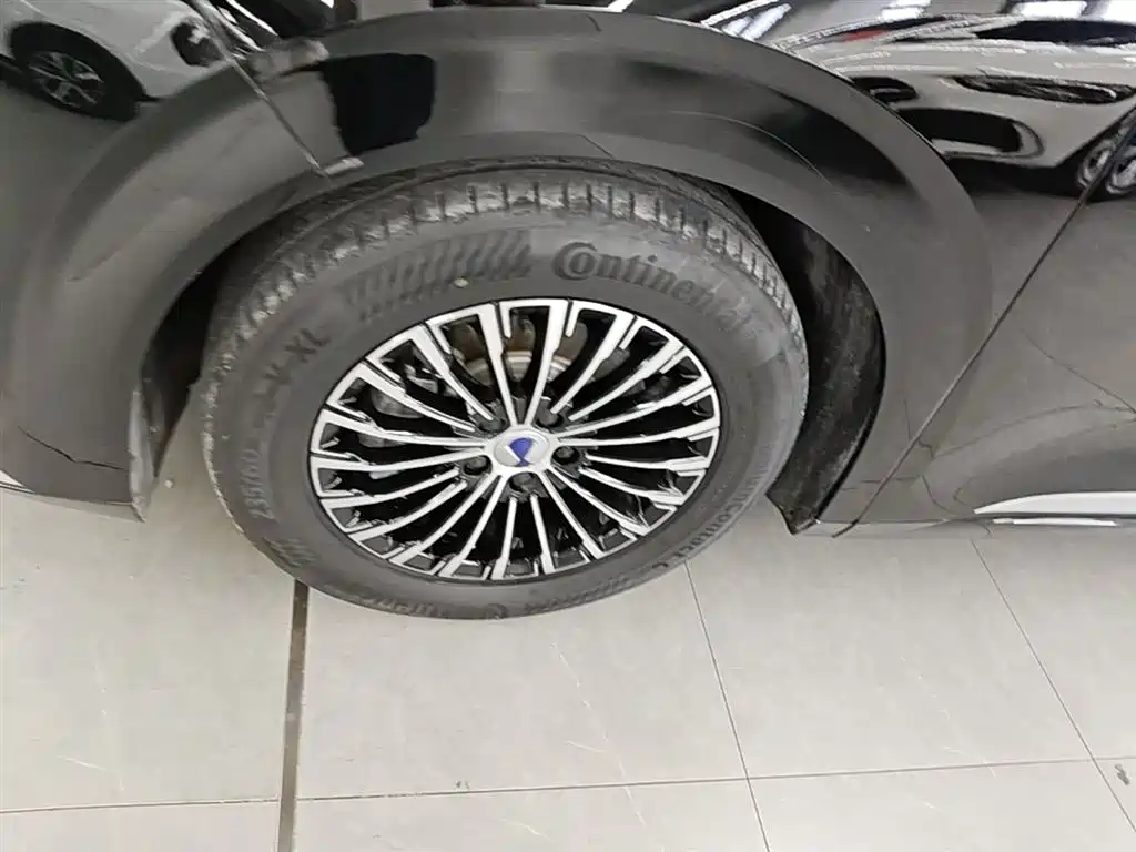 Denza D9 2024 DM-i 980 AWD Premium фото 23