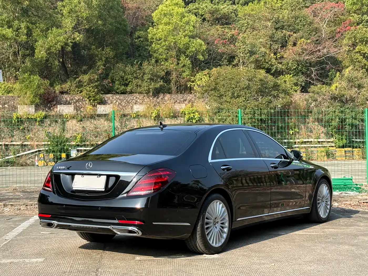 Mercedes-Benz S-Class 2020 S 350 L Business Edition Collector's Version фото 11