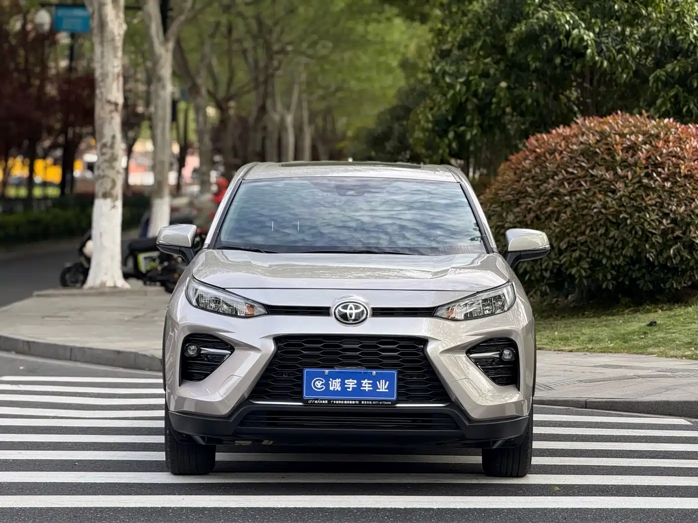 Toyota Wildlander 2020 2.0L CVT AWD Luxury Edition фото 2