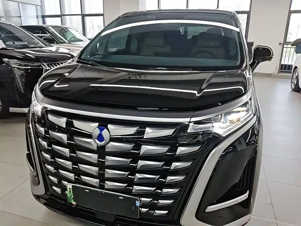 Denza D9 2024 DM-i 980 AWD Premium фото 3