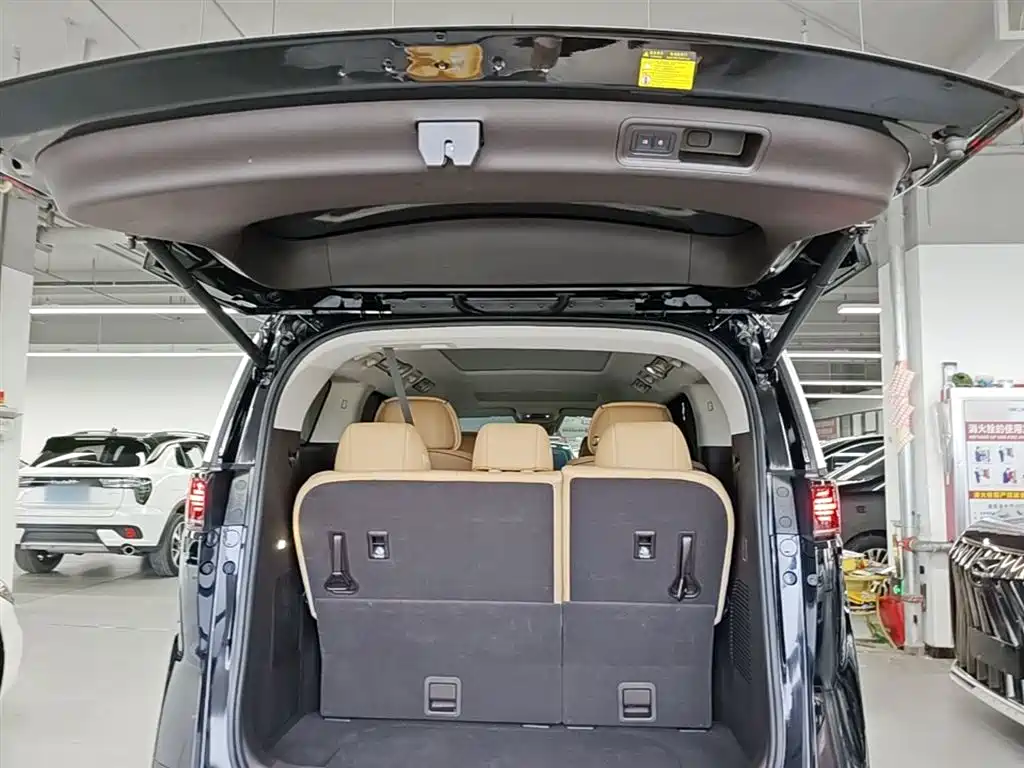 Denza D9 2024 DM-i 980 AWD Premium фото 19