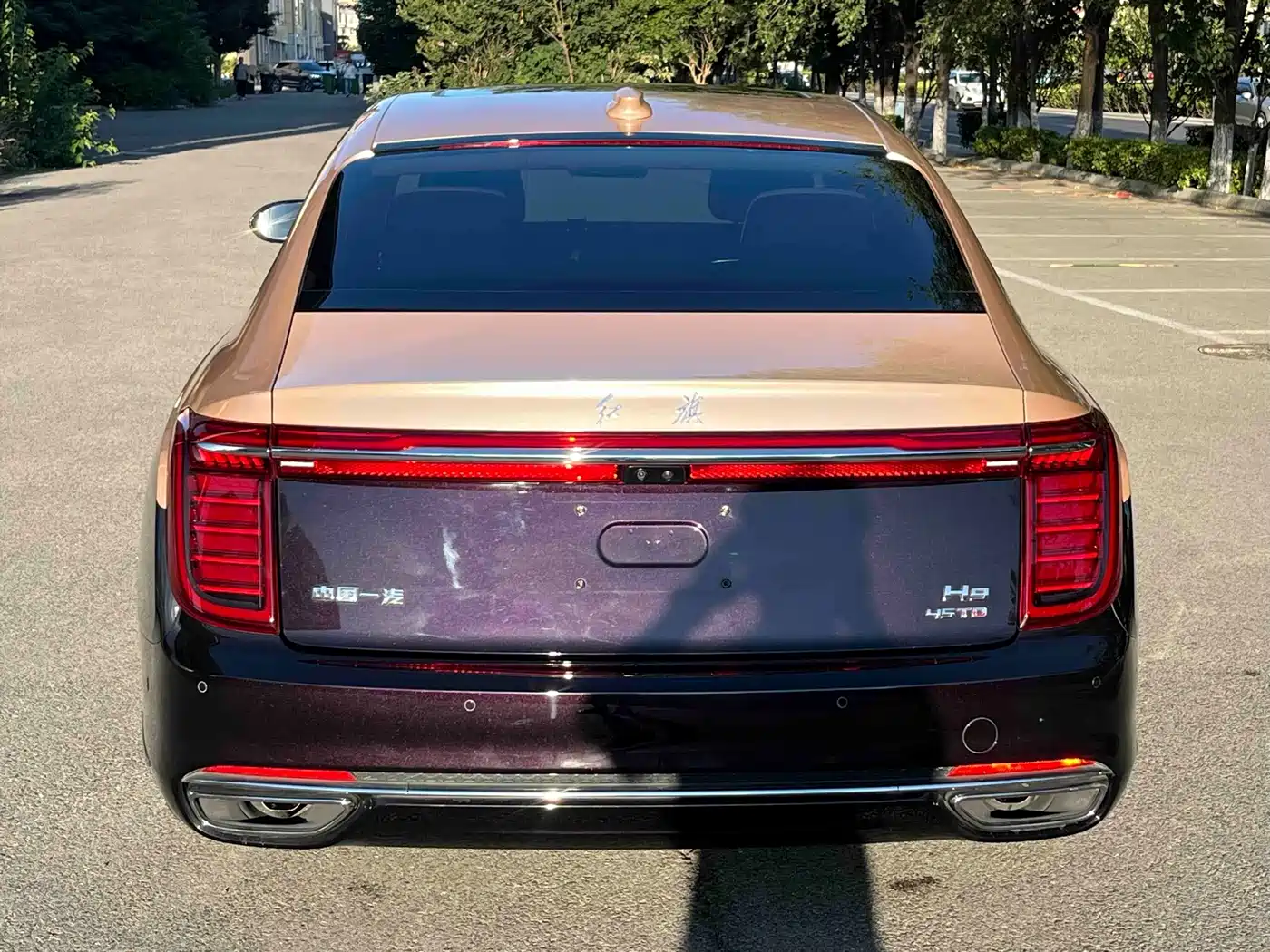 Hongqi H9, миниатюра 5