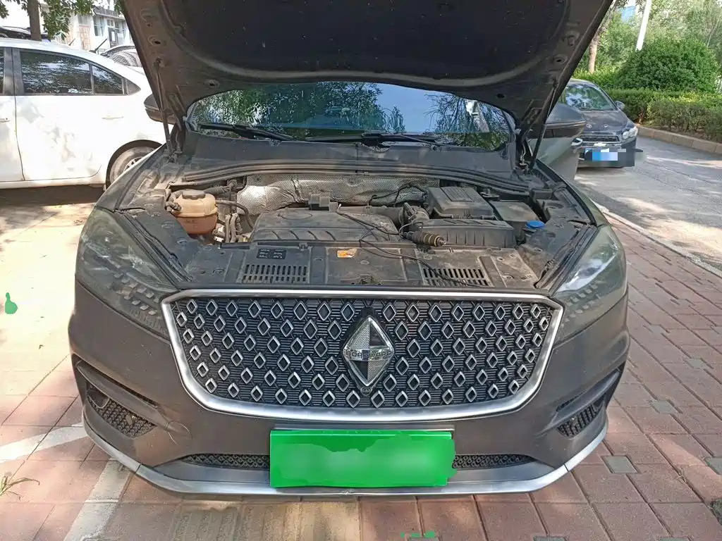 Borgward BX7 2019 2018 2.0T TS AWD Luxury (China V)