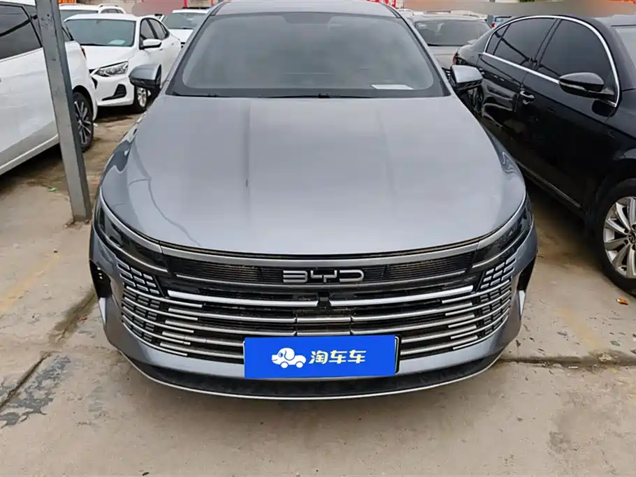 BYD Destroyer 05 2024 Glory Edition DM-i 55KM Luxury фото 2