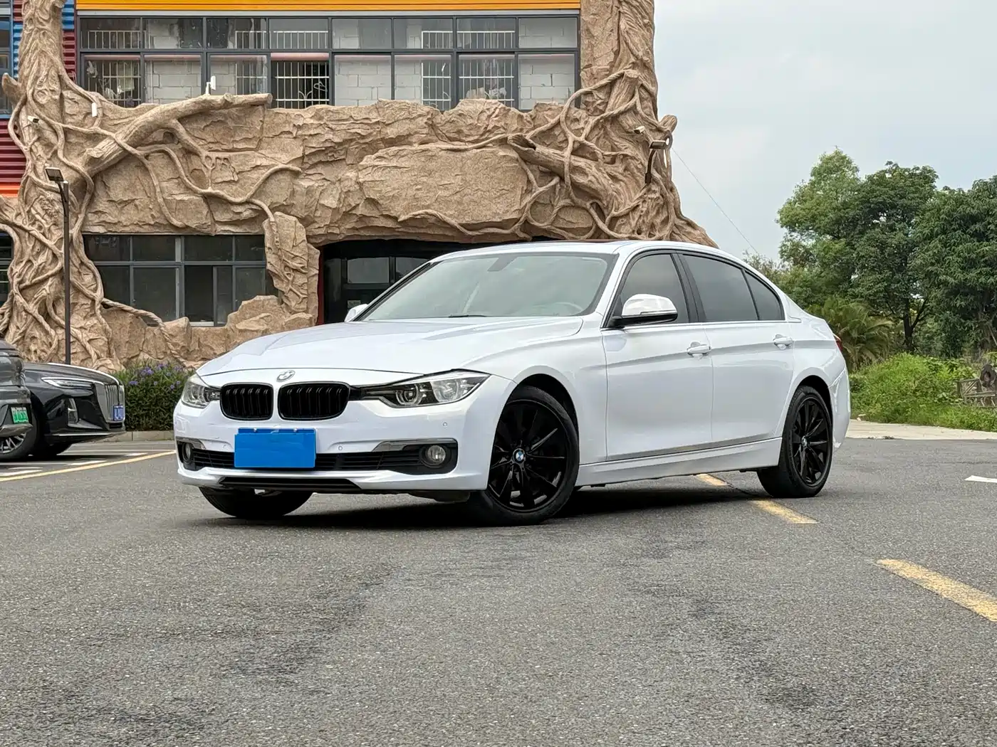 BMW 3 Series 2017 318Li Fashion
