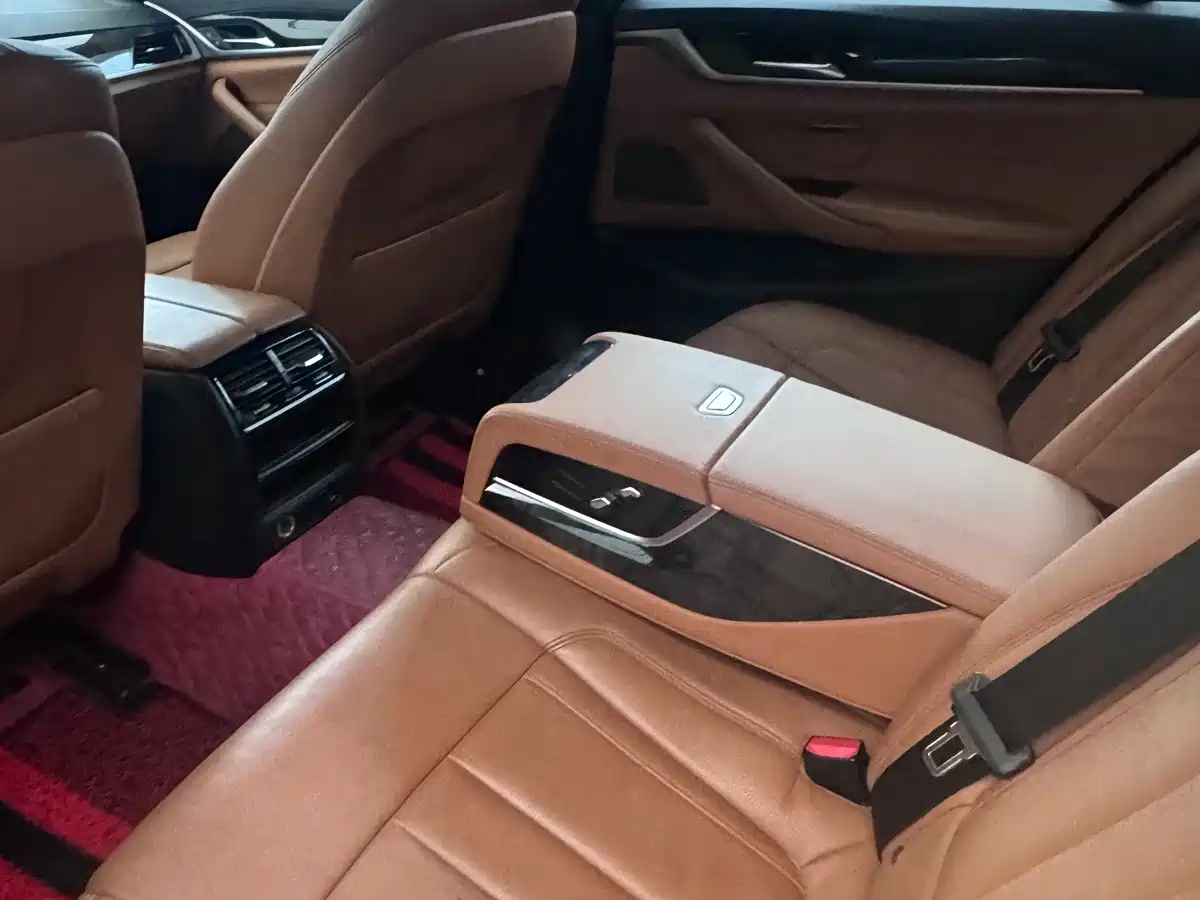 BMW 5 Series 2018 530Li Leading M Sport Package фото 16
