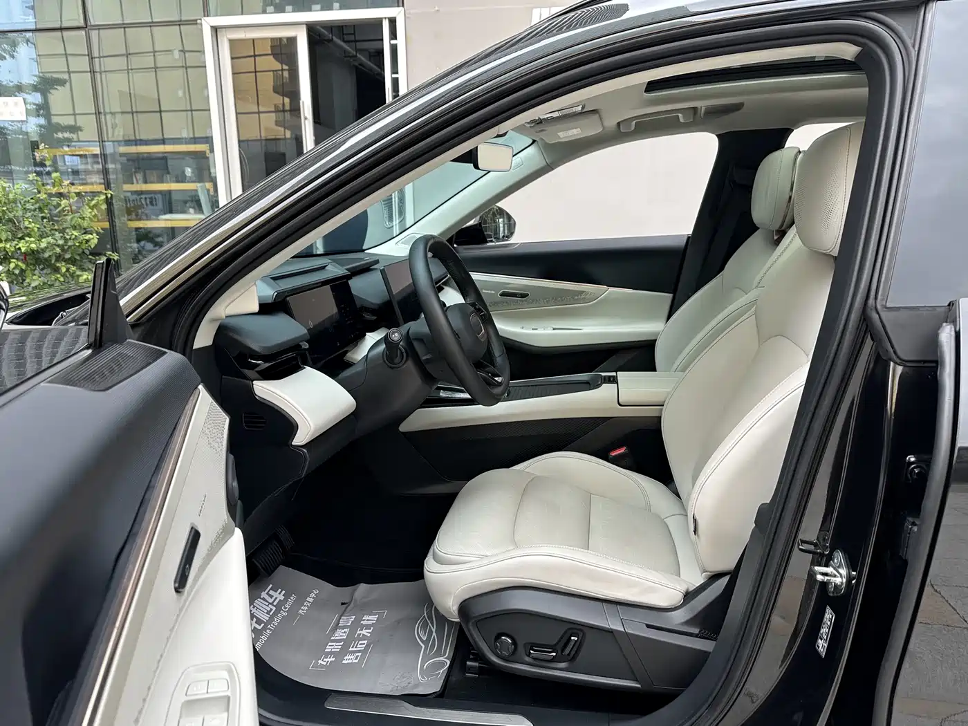 Lynk & Co 08 EM-P 2023 220km 4WD Performance Halo фото 6