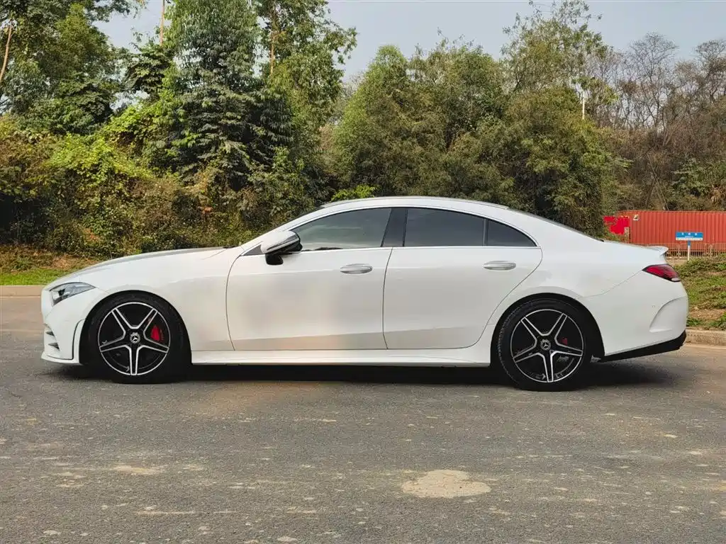 Mercedes-Benz CLS 2021 CLS 300 Luxury фото 4