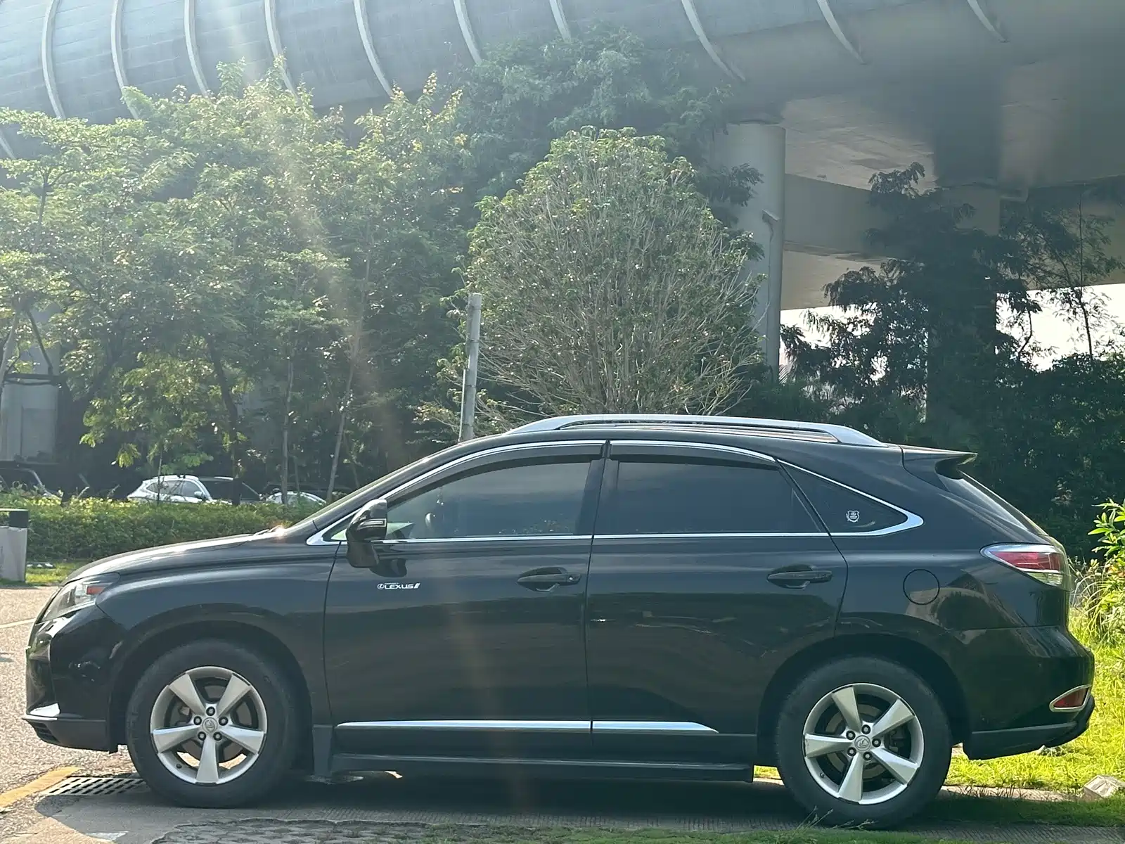 صورة 7 - Lexus RX Classic