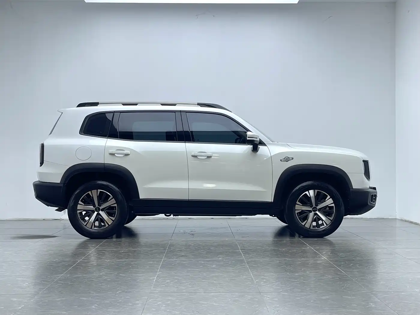 Haval Big Dog 2021 1.5T DCT 2WD Labrador Edition фото 5