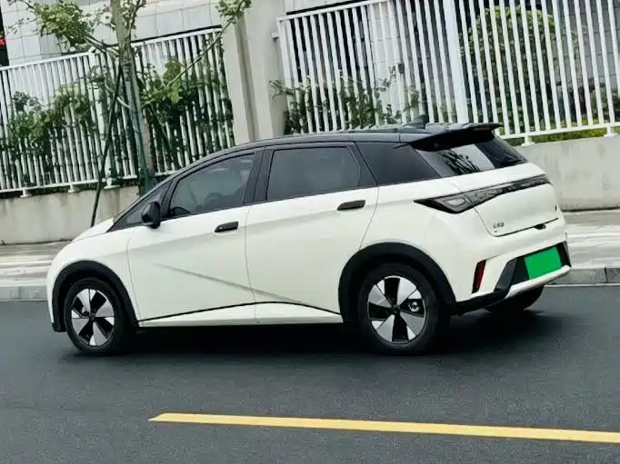BYD Dolphin 2023 420km Fashion Edition фото 3
