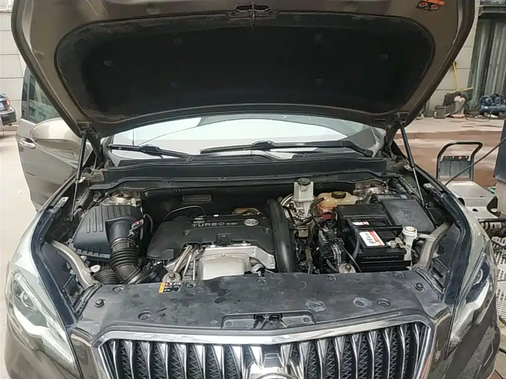 Buick Envision Plus 2016 28T 4WD Elite фото 20