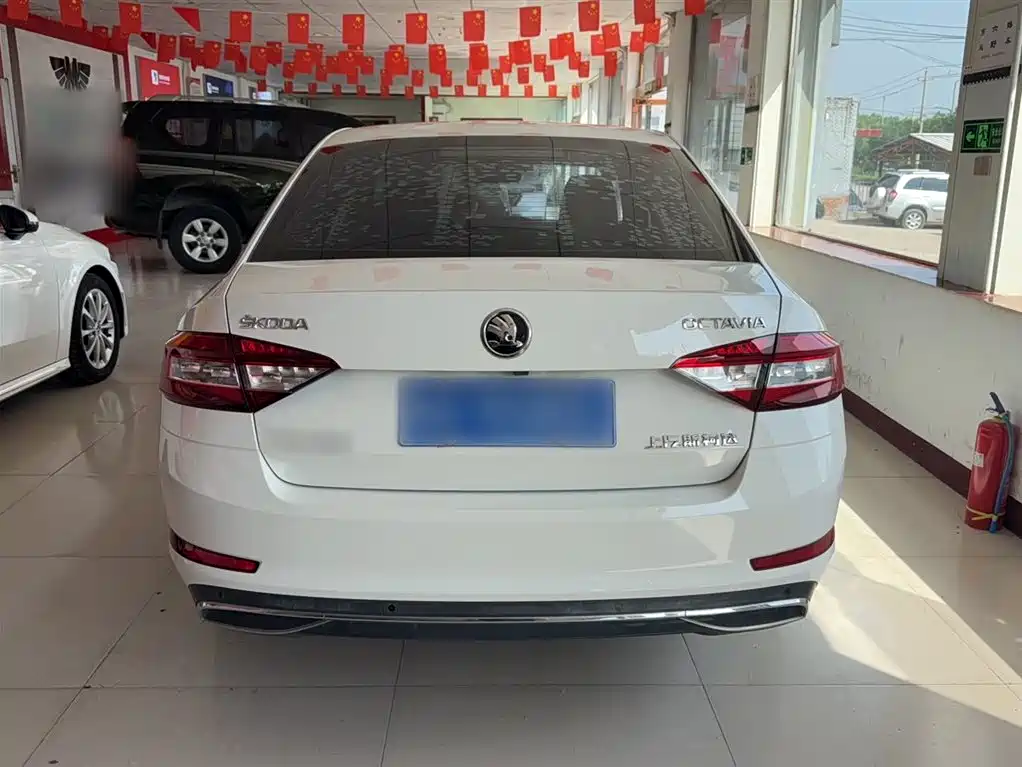 Škoda Octavia 2018 TSI230 DSG Luxury Edition фото 6