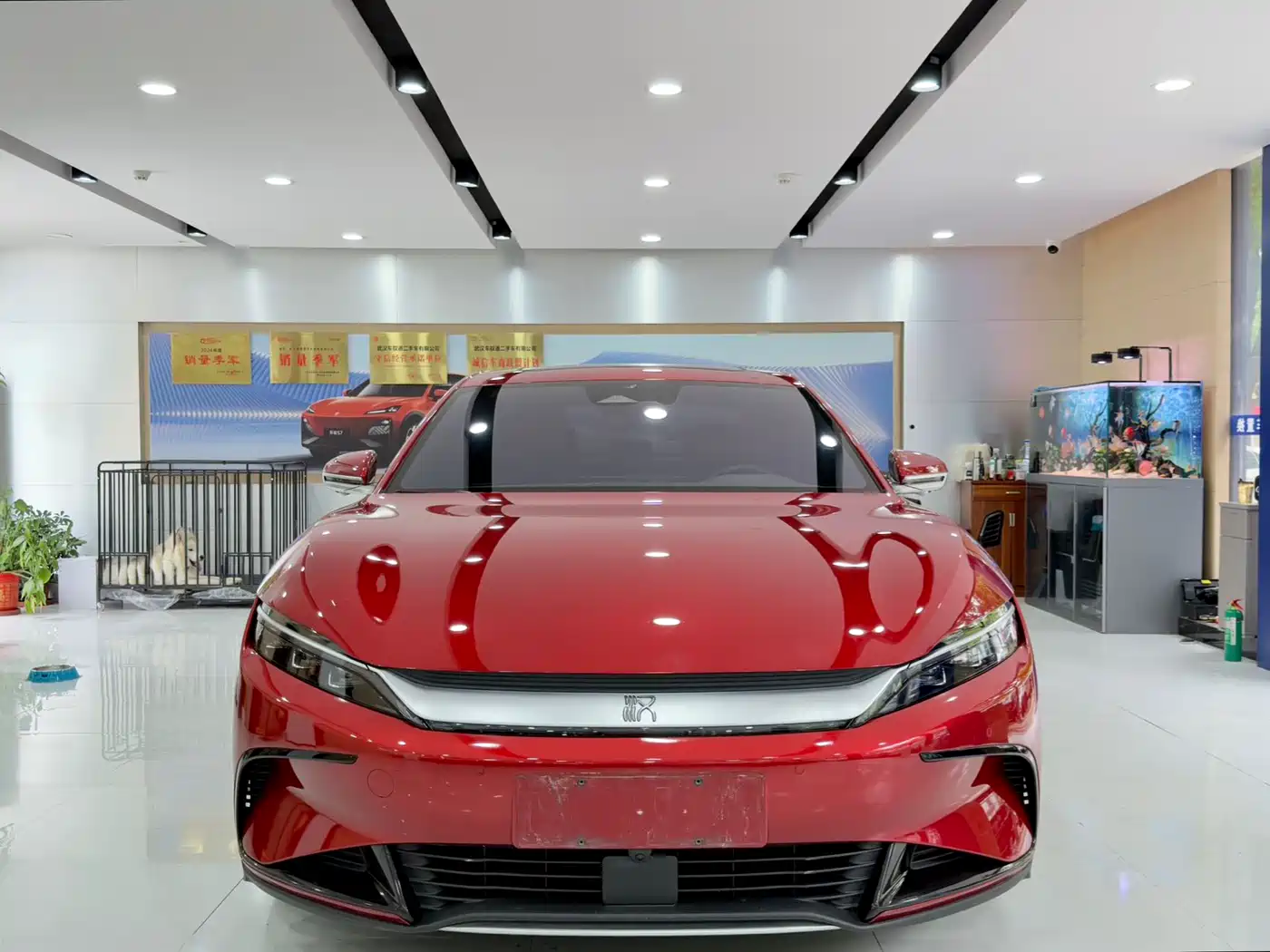 BYD Han 2023 EV Champion Edition 605KM FWD Premium фото 2