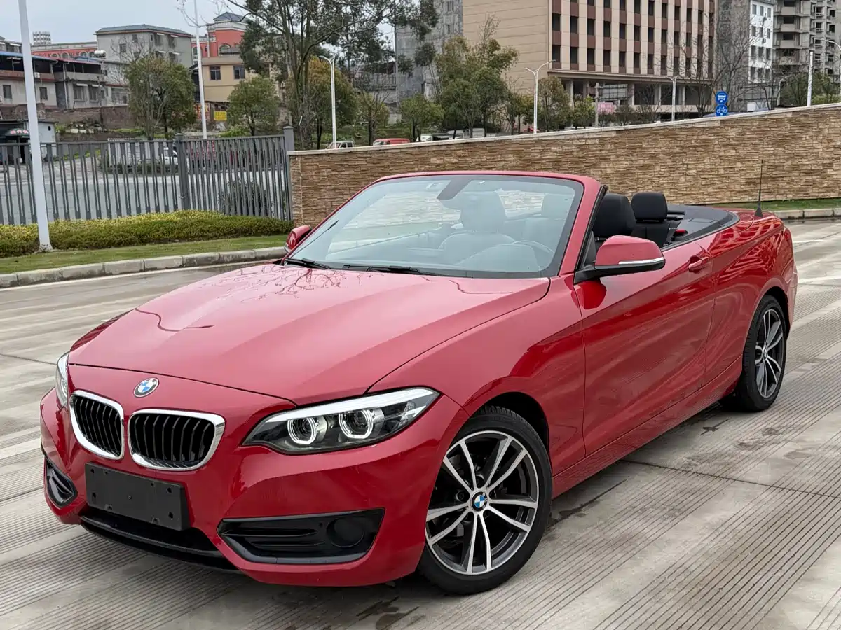 BMW 2 Series (Import) 2018 220i Convertible Coupe Sport Design Package фото 9