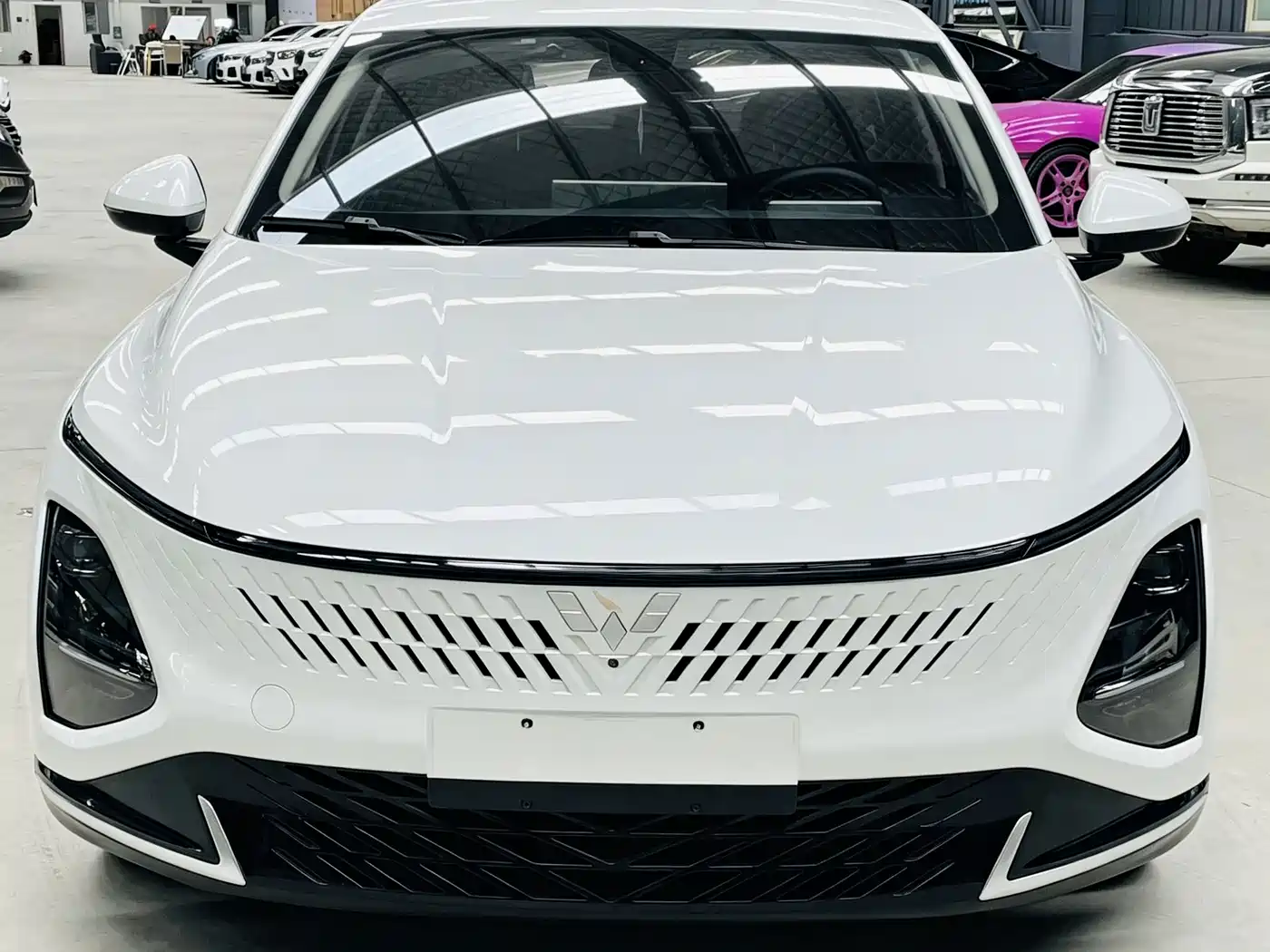 Wuling Motors Wuling Xingguang 2024 2023 150 Advanced Edition