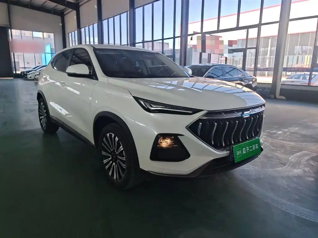 Фото 4 - Changan Oshan Changan Oushang X5