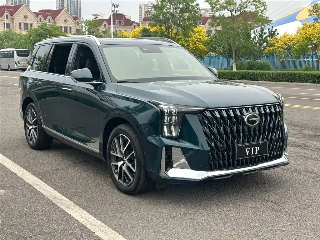 GAC Trumpchi Trumpchi GS8 2022 Dual Engine Series 2.0TM 2WD Premium Edition (7-Seater) фото 2