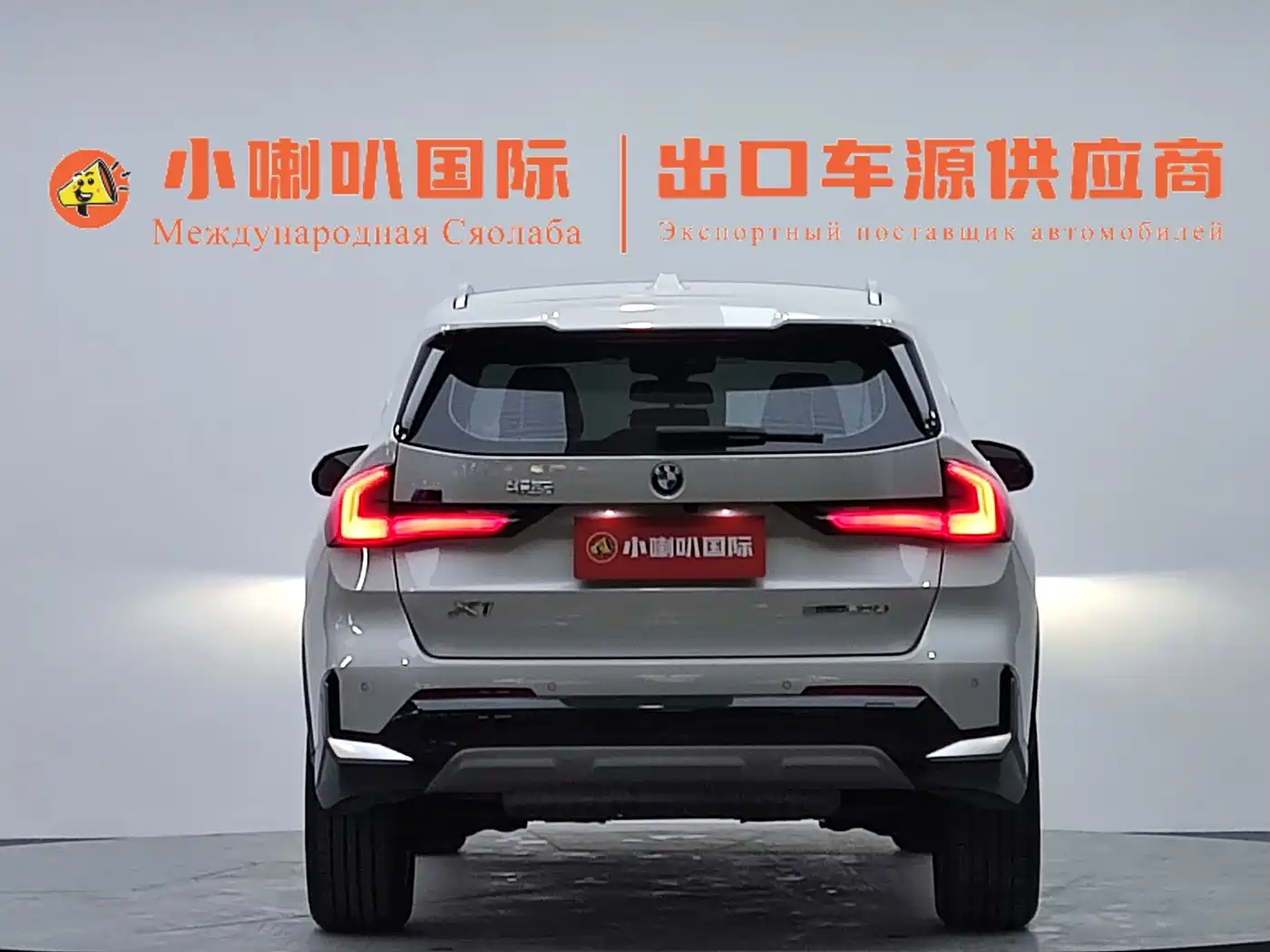BMW X1 2024 2023 sDrive20Li X Design Package