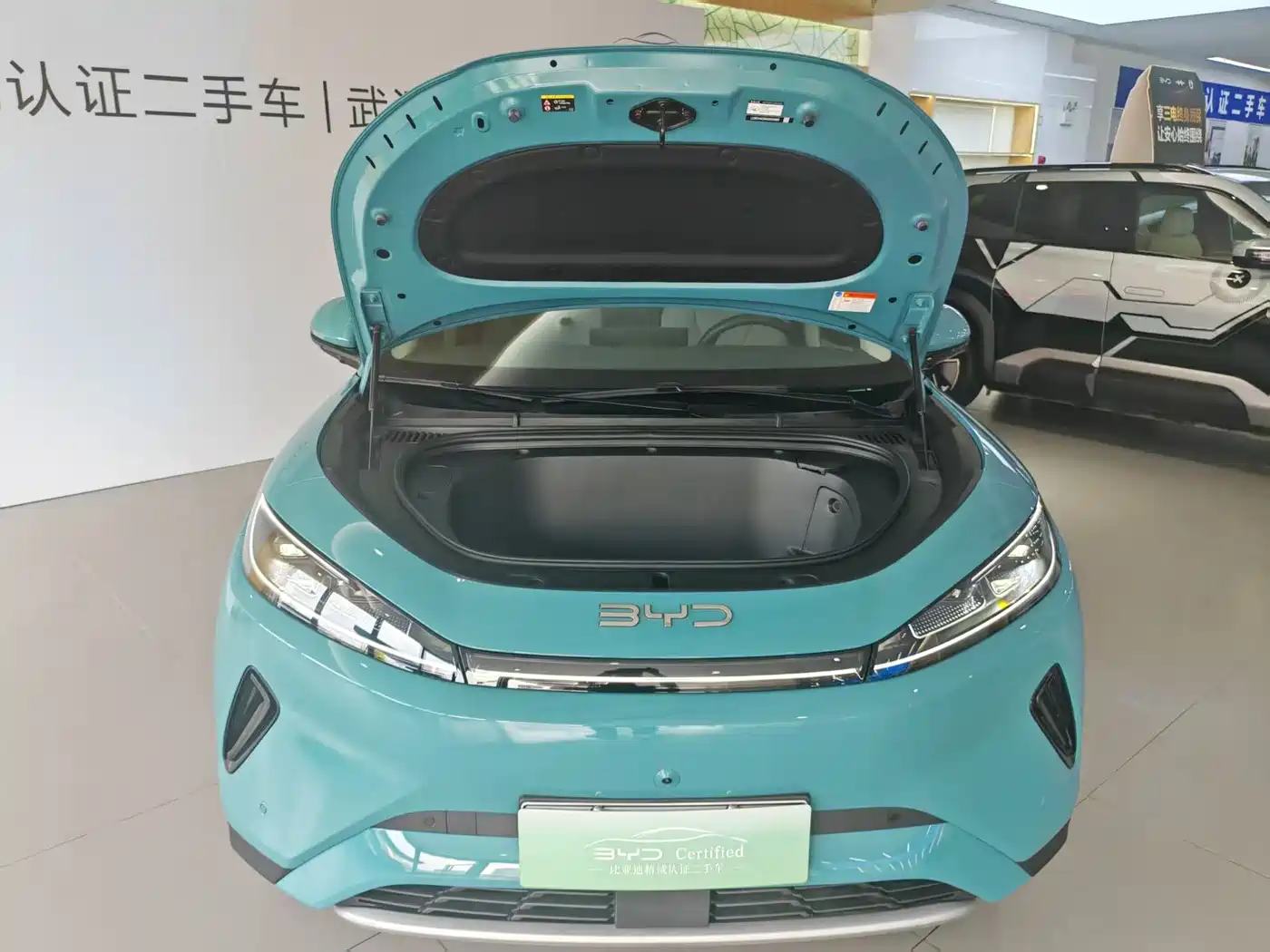 BYD Hai Shi 05 EV 2025 520KM Smart Navigation Edition фото 8
