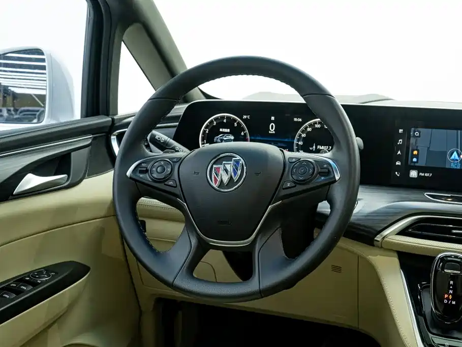 Buick GL8 2022 ES Landmark 653T Luxury фото 23