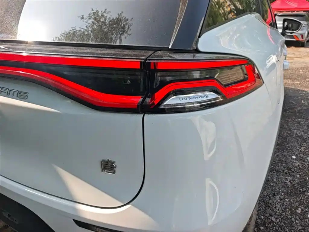 BYD Tang New Energy 2021 DM-i 112KM Honor фото 8