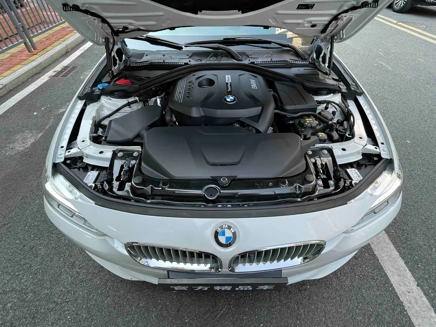 BMW 3 Series 2019 320Li Fashion Type фото 18