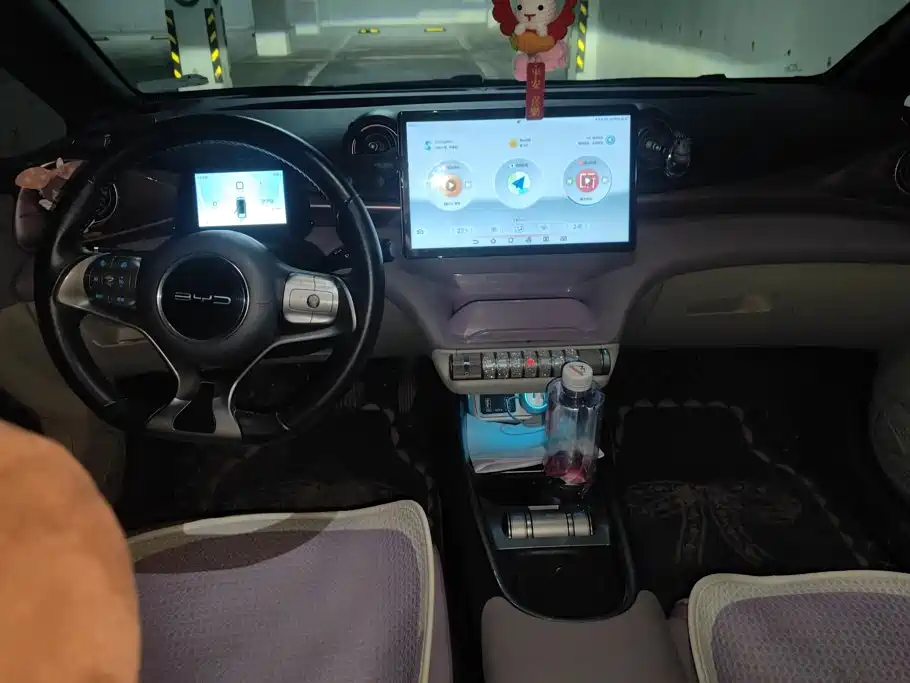 BYD Dolphin 2021 2021 Model 405km Fashion Edition