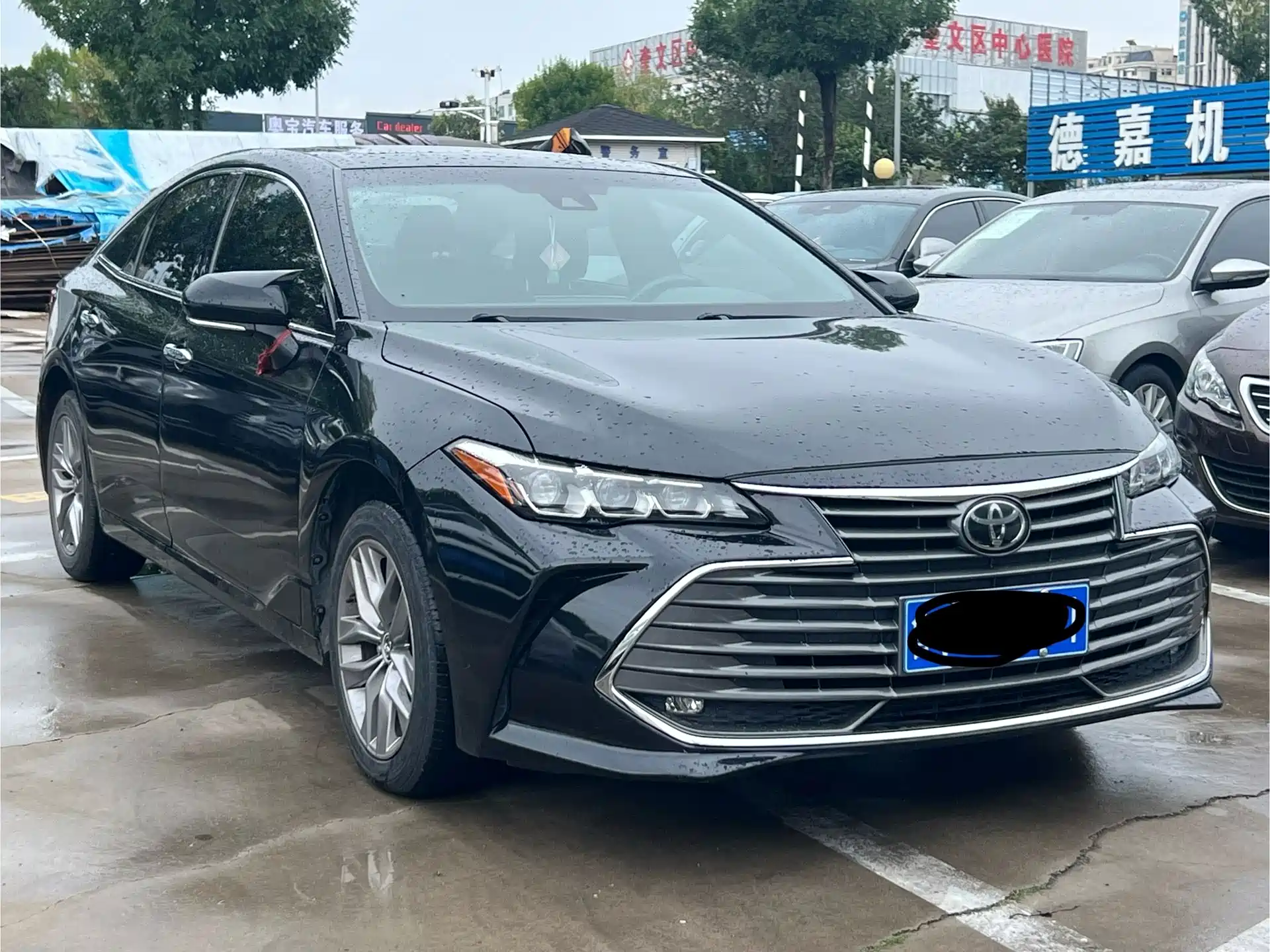 Фото 3 - Toyota Avalon