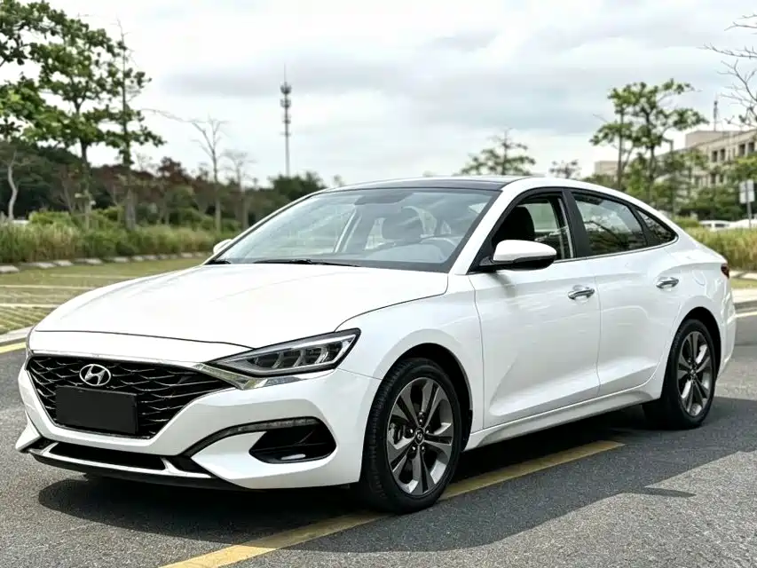Photo 1 - Hyundai Lafesta