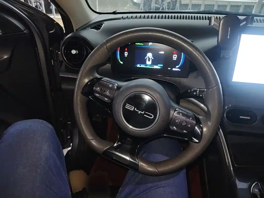 BYD e2 2023 2023 Comfort Model
