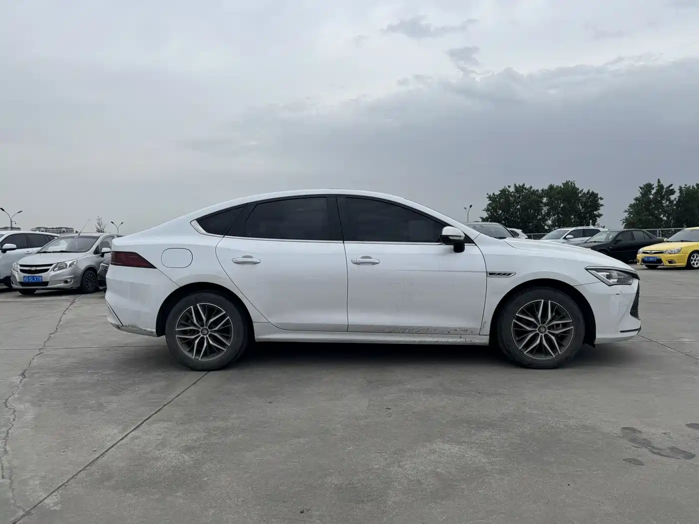 BYD Qin PLUS 2021 DM-i 120KM Premium фото 14