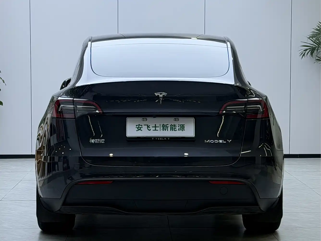 TESLA MODEL Y