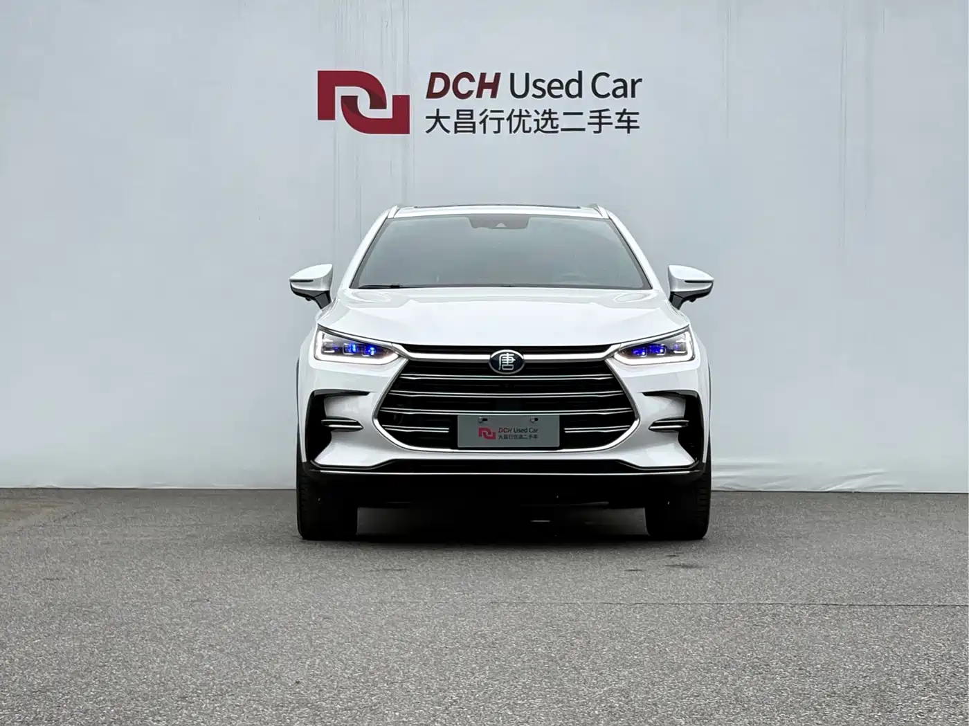 BYD Tang New Energy 2021 DM 2.0T AWD High Performance Premium фото 2