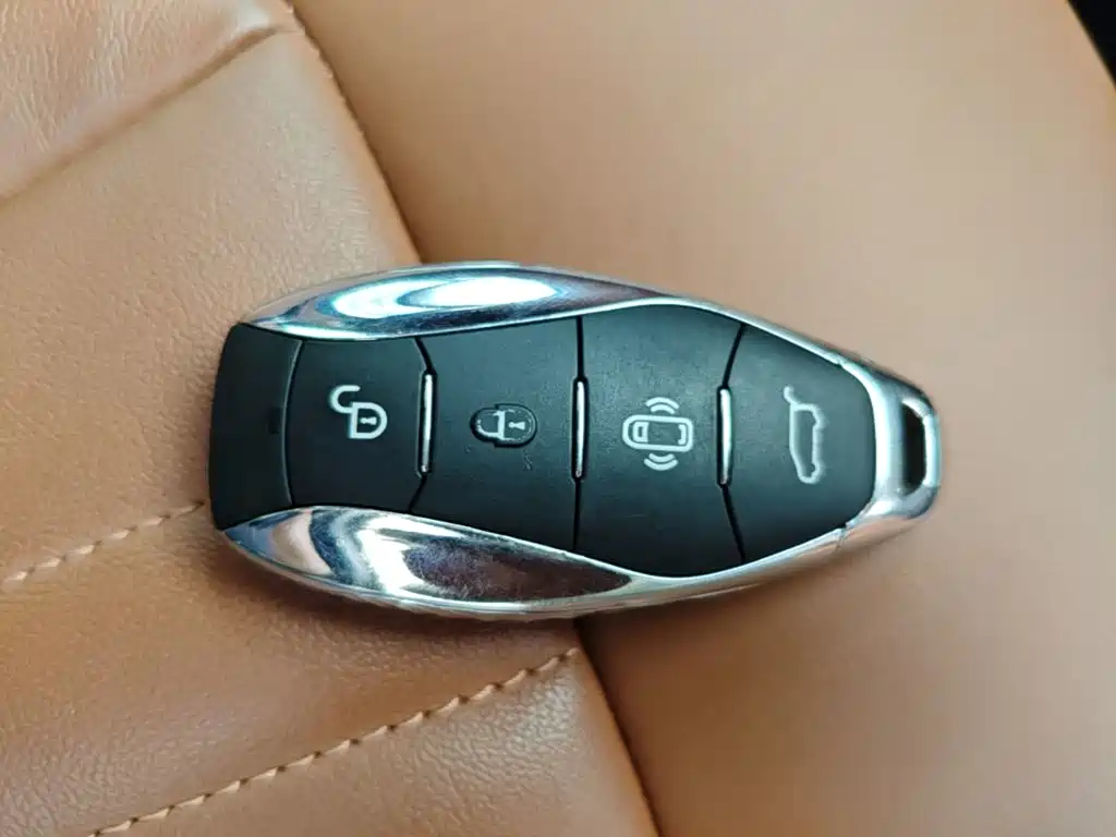 Photo 9 - Hongqi HQ9