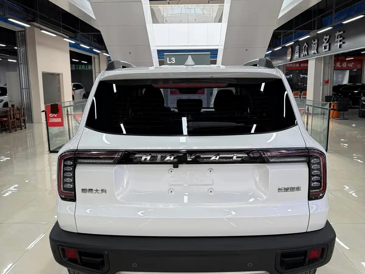 HAVAL BIG DOG