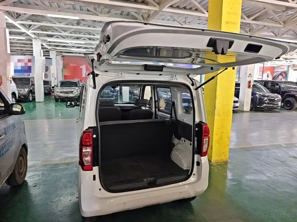 Фото 19 - Wuling Motors Wuling Zhiguang NEV