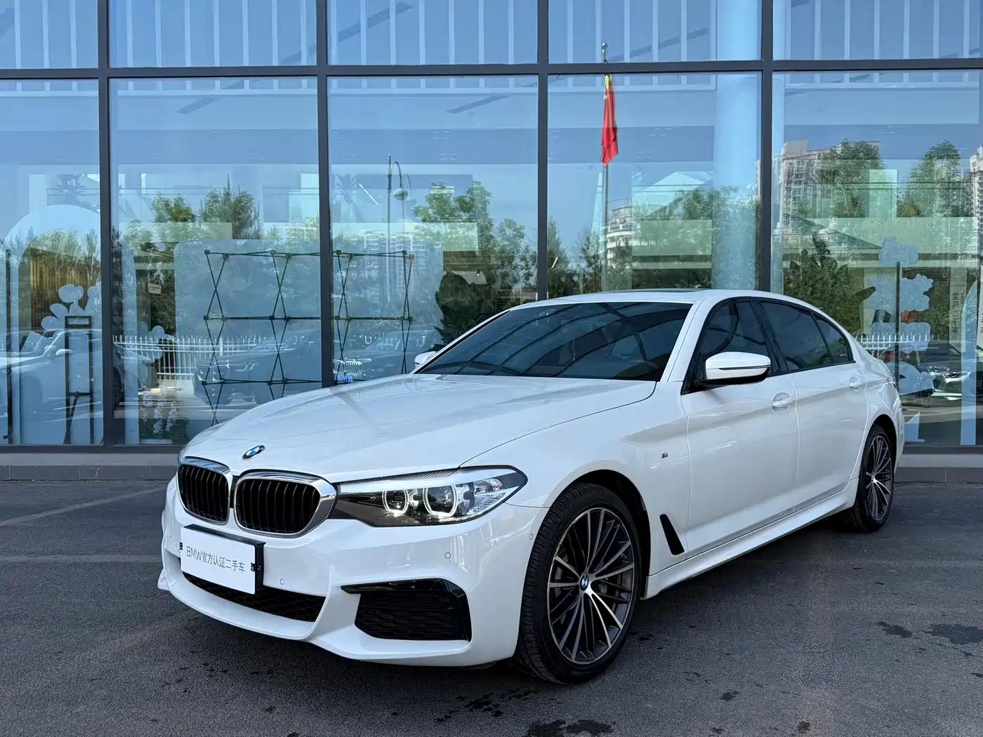 BMW 5 Series 2019 530Li Leading M Sport Package