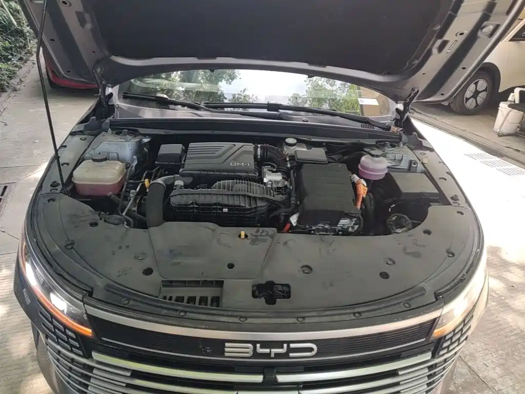 BYD Destroyer 05 2024 Glory Edition DM-i 55KM Luxury фото 20