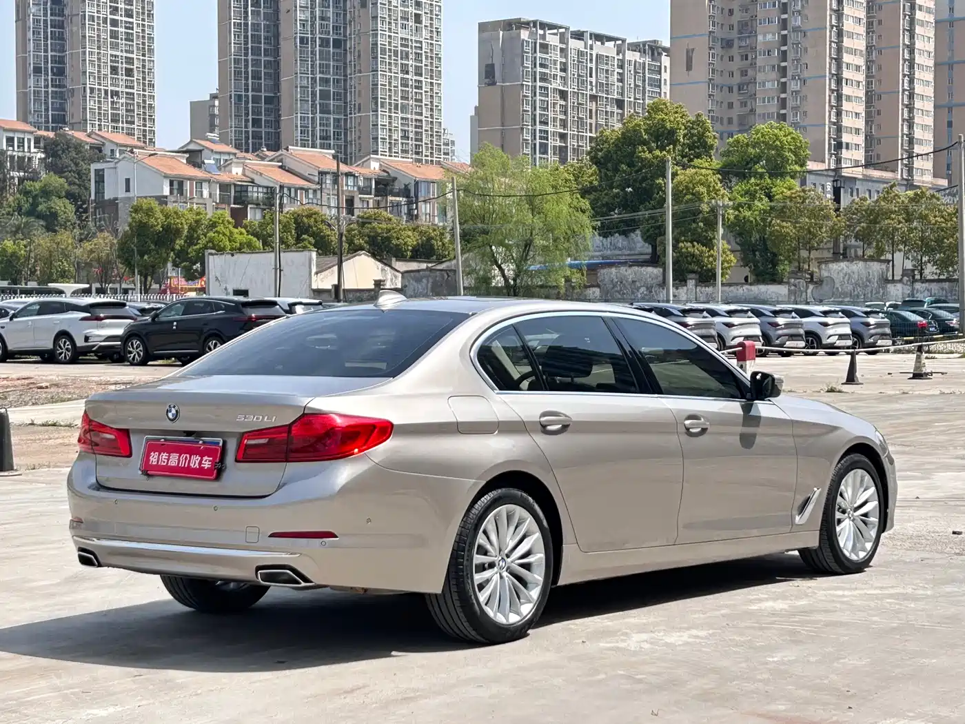 BMW 5 Series 2020 530Li Leading Luxury Package фото 4