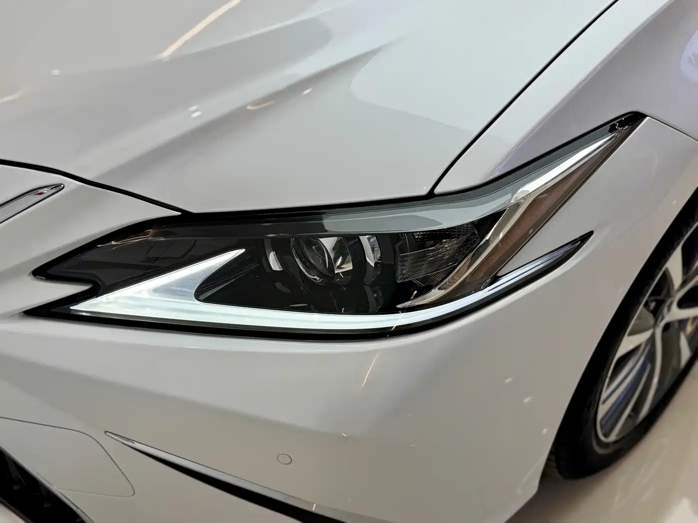 Lexus ES 2020 200 Luxury фото 5