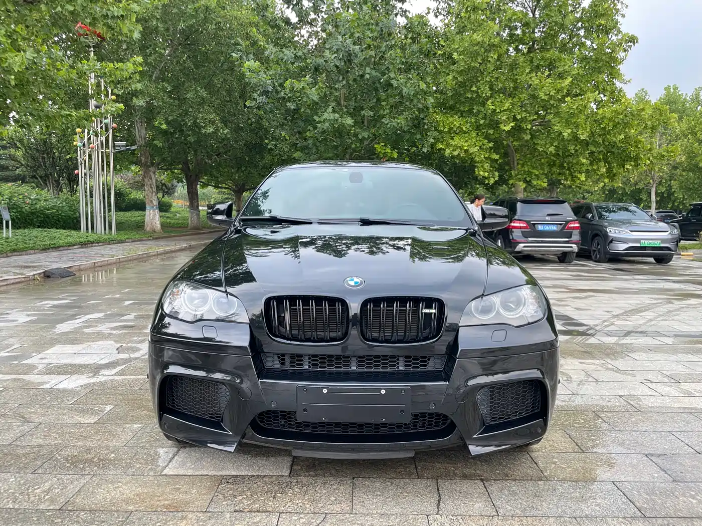 BMW X6 M 2013 X6 M фото 2