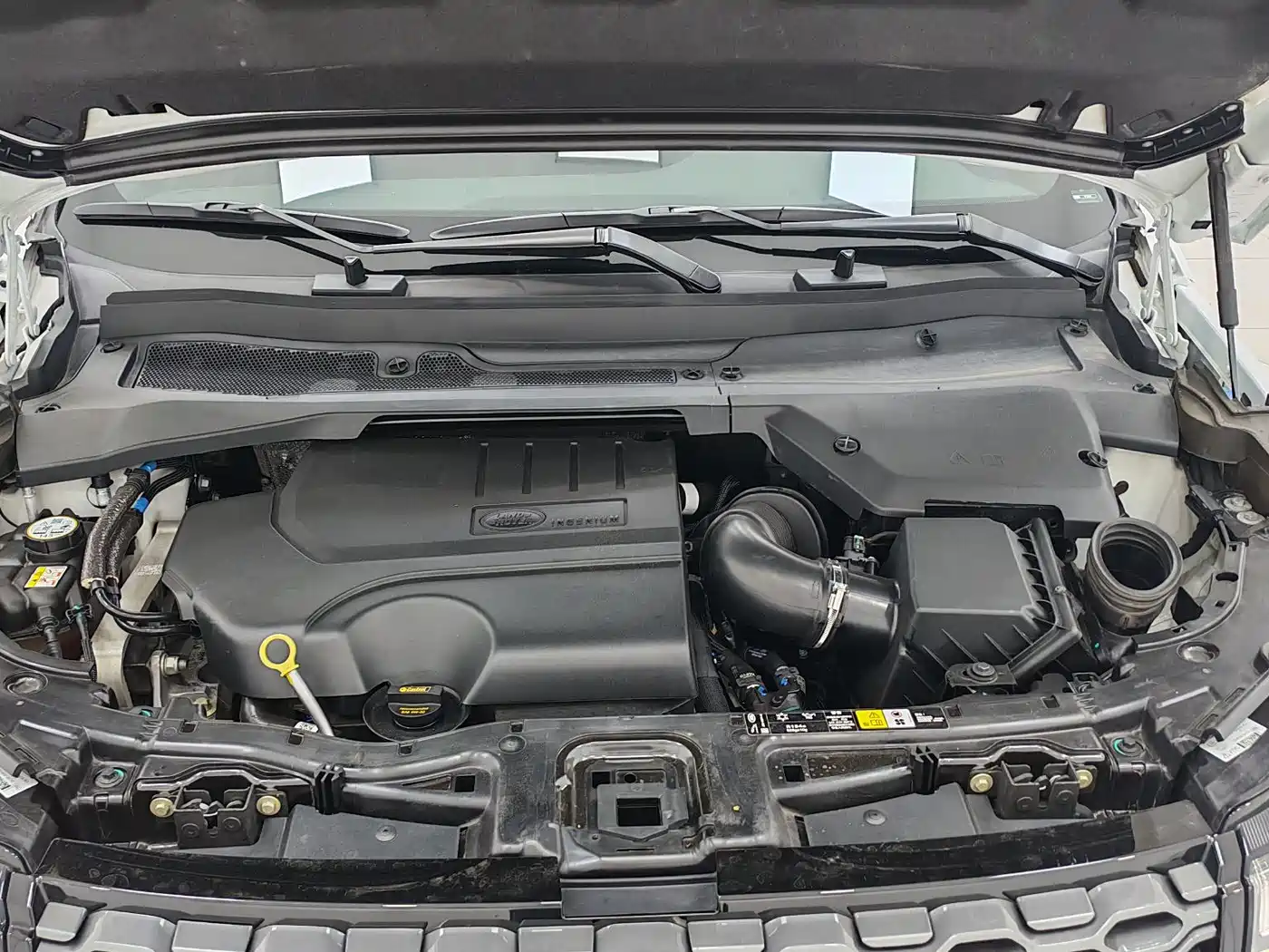 Land Rover Discovery Sport 2022 Model Facelift 249PS R-Dynamic S Performance Edition 5-seater фото 18