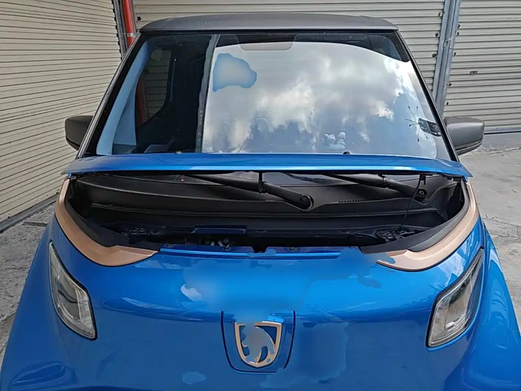 Baojun E200 2020 2020 305KM Smart Edition