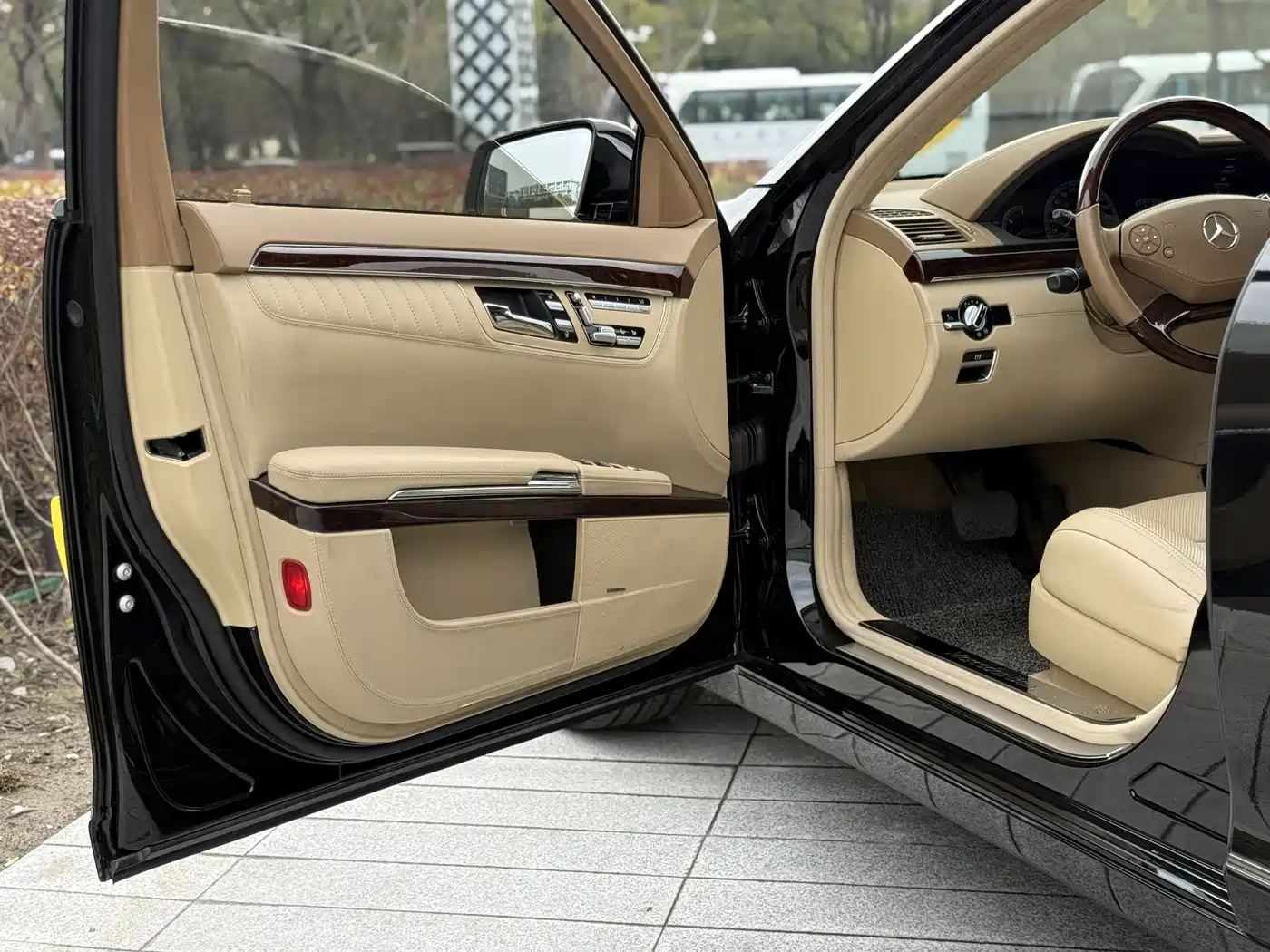 Mercedes-Benz S-Class 2010 2010 S 600 L