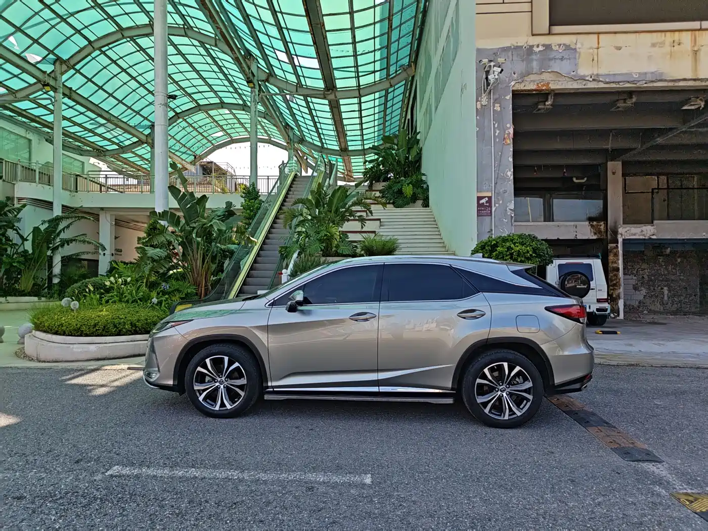 Lexus RX 2020 300 4WD Elegance Edition China VI фото 3