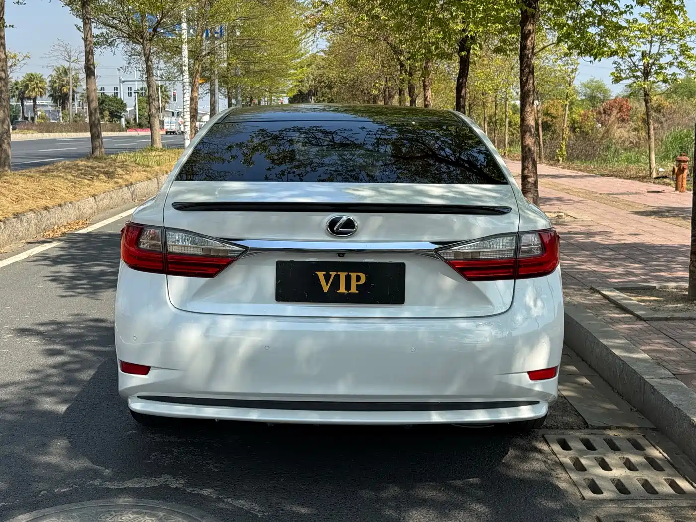 Lexus ES 2015 200 Elite Edition фото 3