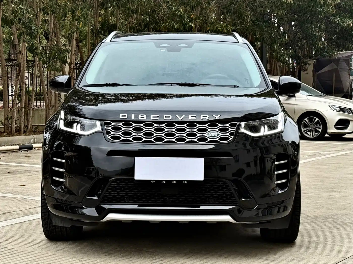 Land Rover Discovery Sport 2024 Luxury Custom Edition фото 3