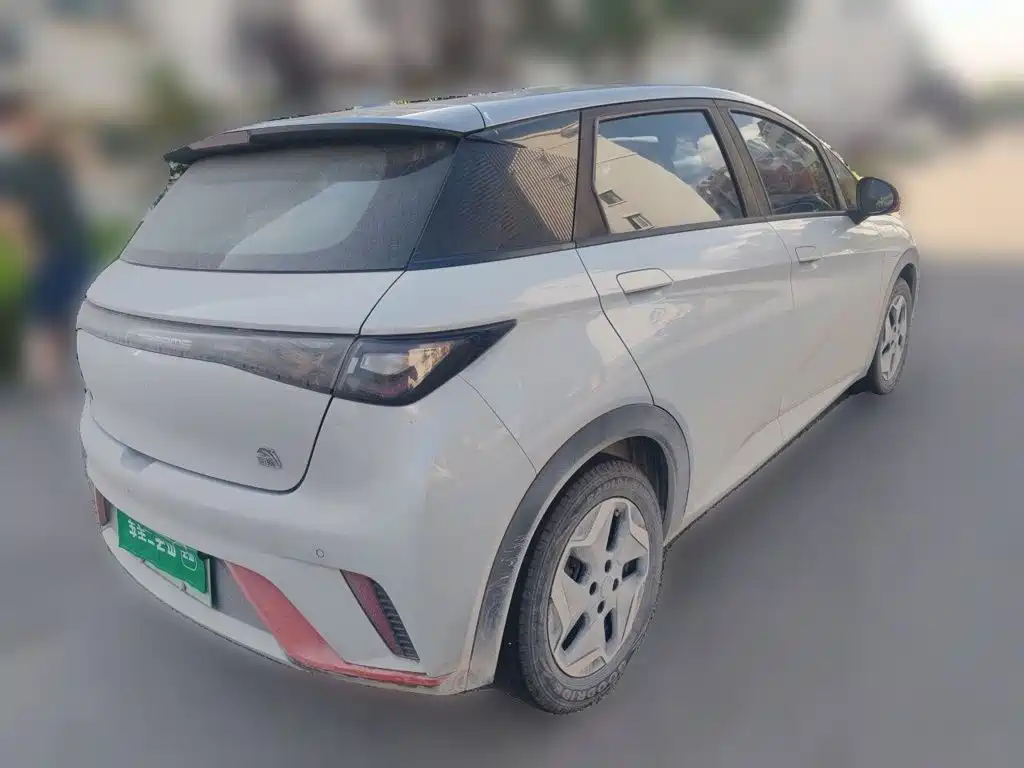 Фото 6 - BYD Dolphin